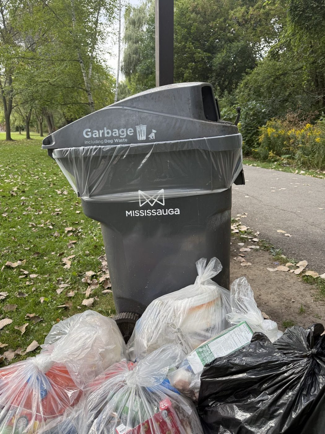 Garbage collected and bagged by volunteers during a city park cleanup